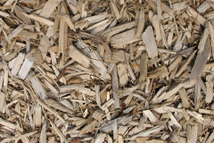 biomass boilers Trevilder