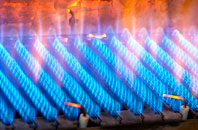 Trevilder gas fired boilers